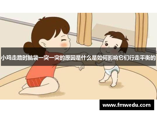 小鸡走路时脑袋一突一突的原因是什么是如何影响它们行走平衡的